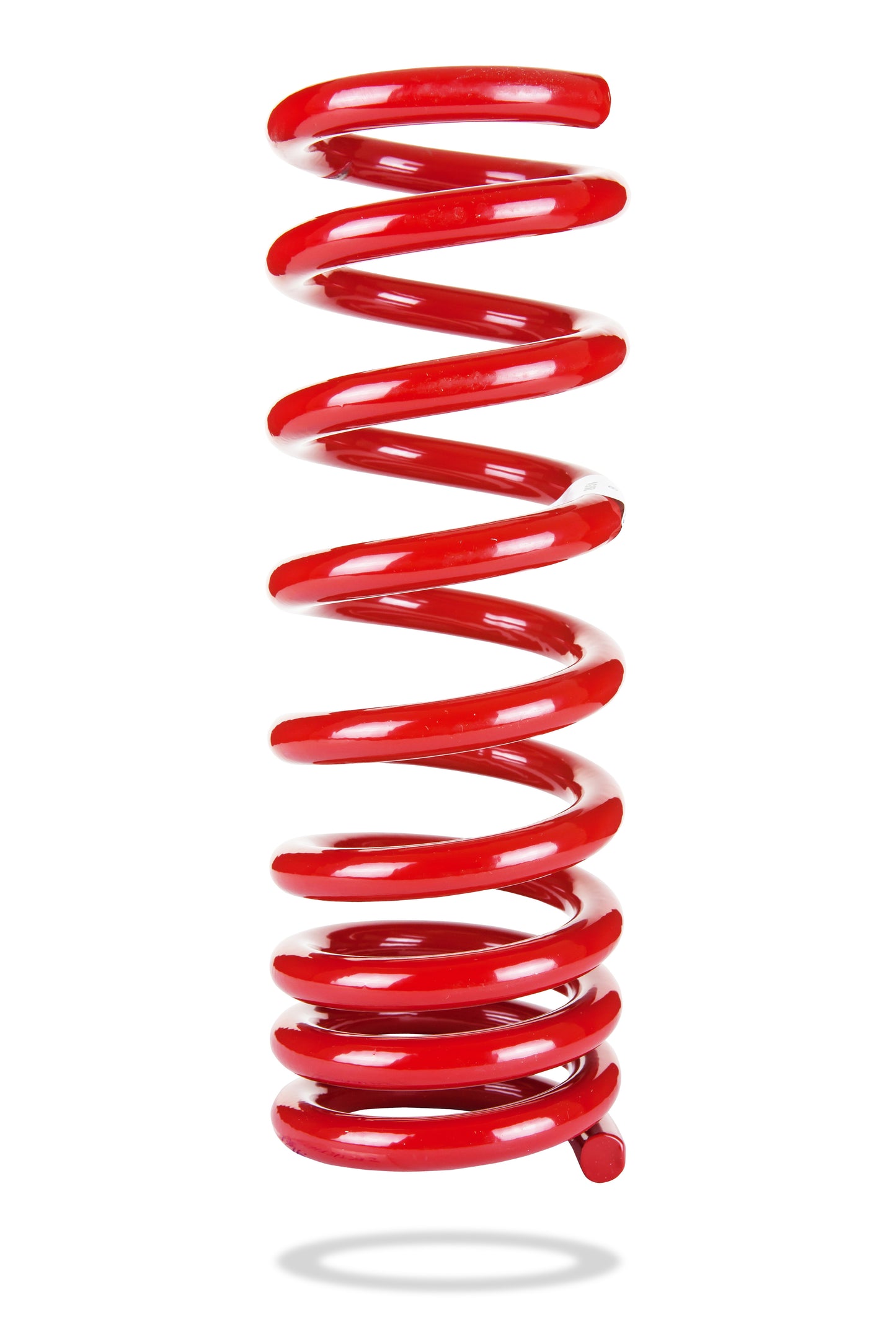 Pedders Sports Ryder Rear Spring - Dodge Challenger/Charger/Magnum/300C 2005-2012