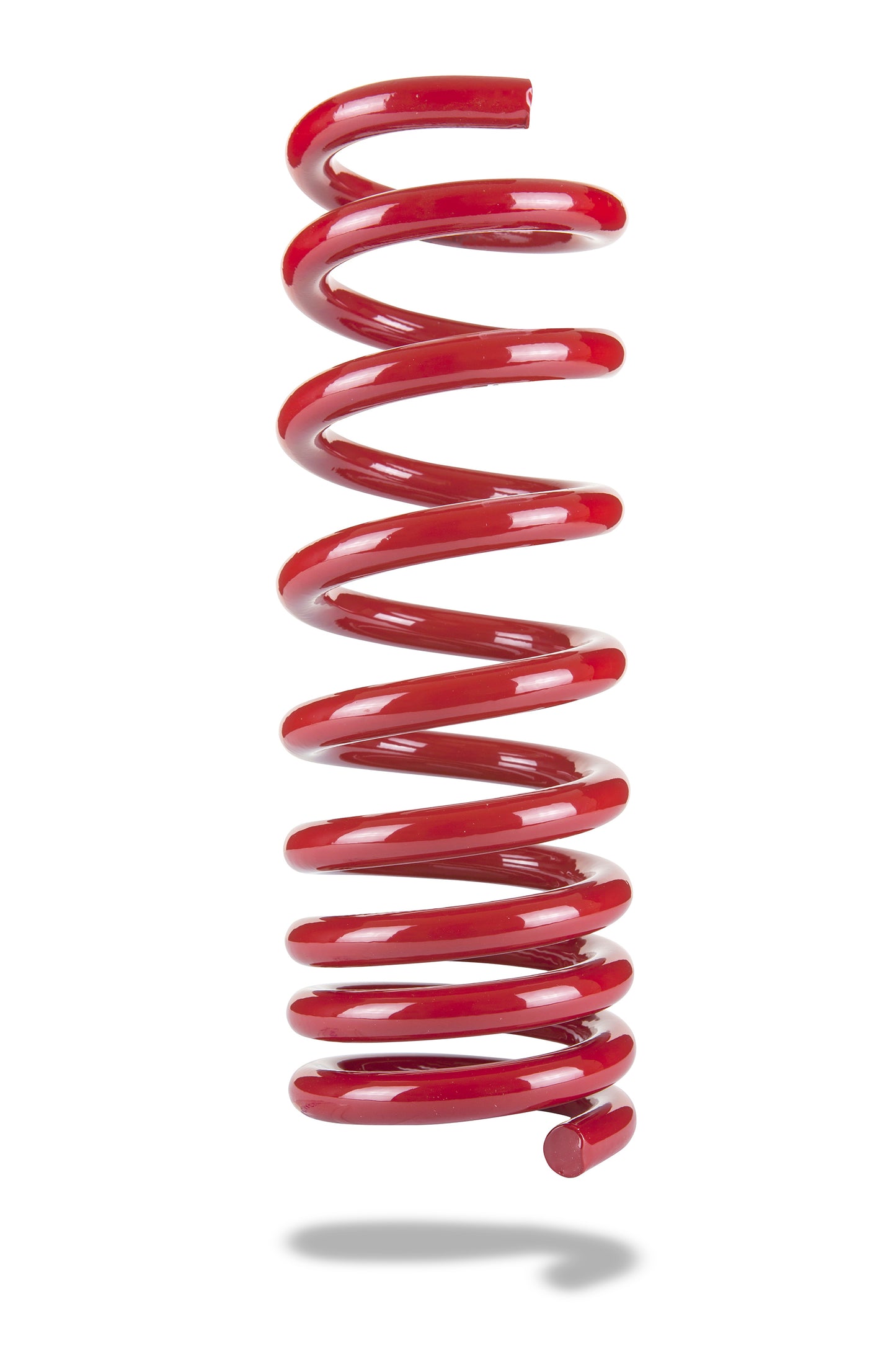 Pedders Sports Ryder Rear Spring - Dodge Challenger/Charger/Magnum/300C - Nivomat