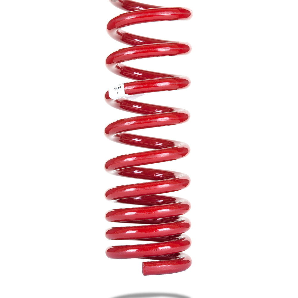 Pedders Heavy Duty Rear Spring - Dodge Challenger/Charger/Magnum/300C - Raised